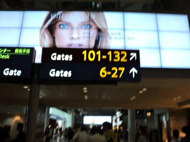 DSC07074.jpg