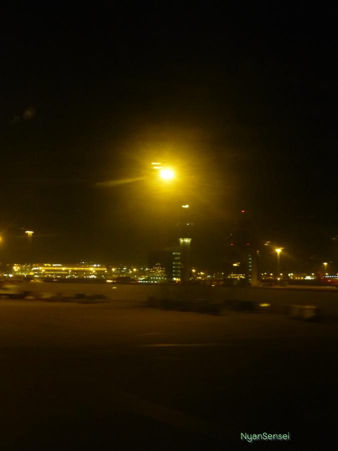 P1010469.JPG