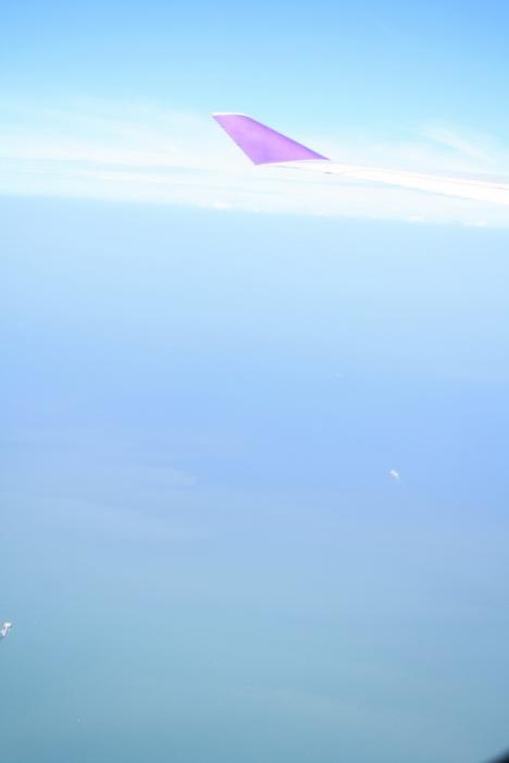 IMG_8746.JPG