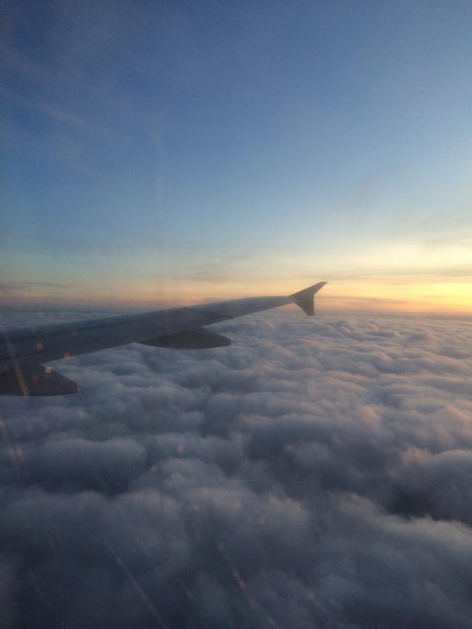 S__2982033.jpg