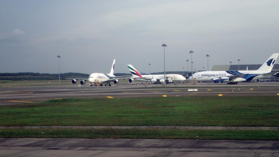 569.JPG