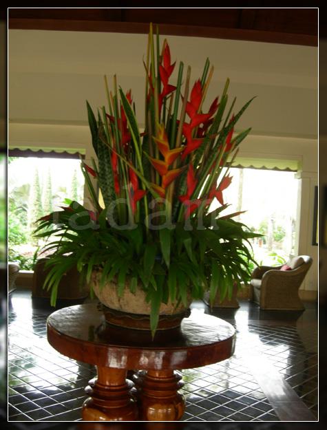DSCN1207.jpg