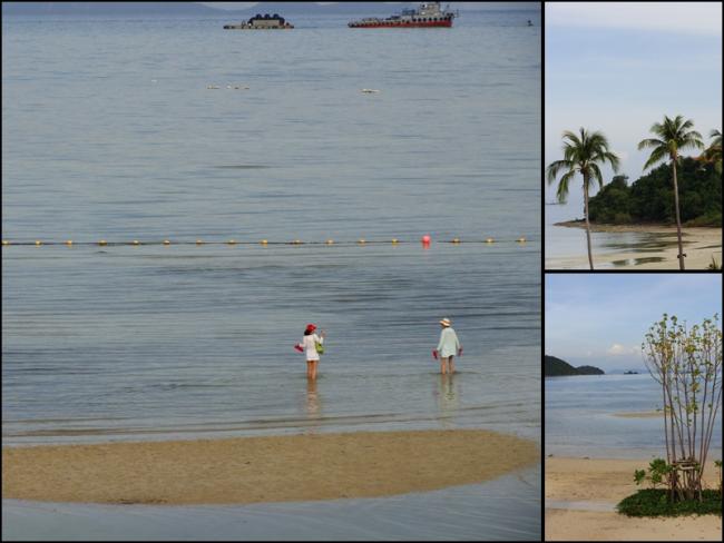 beach005.jpg