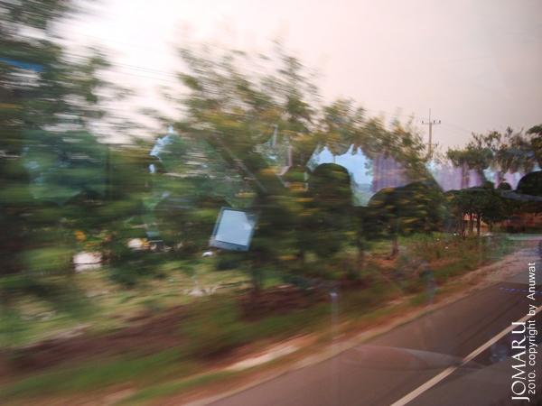 DSC07694.jpg
