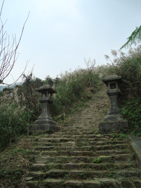DSC05825.JPG