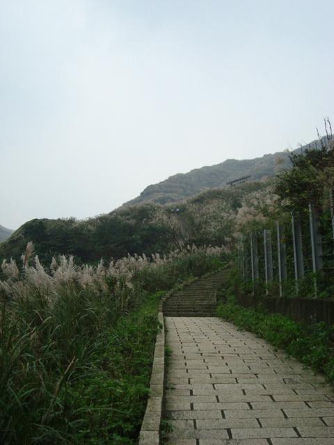 DSC05822.JPG