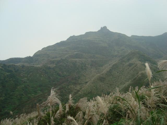 DSC05834.JPG