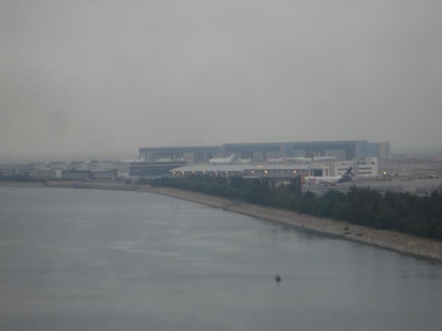 DSC00203.jpg