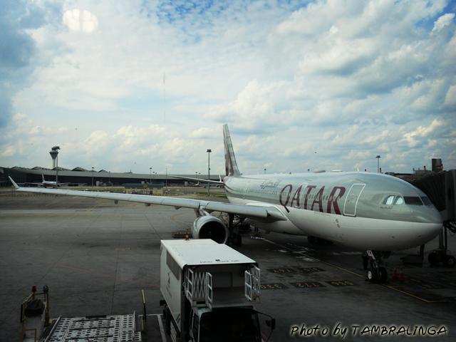 SDC12578.jpg