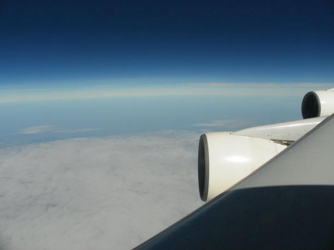 100_2651_resize.JPG