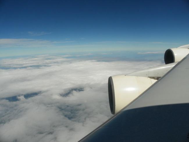 100_2661_resize.JPG