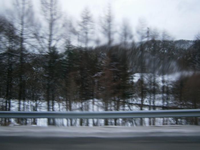 PC020078 (800x600).jpg